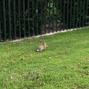 Meet your Posher, Sooyoung